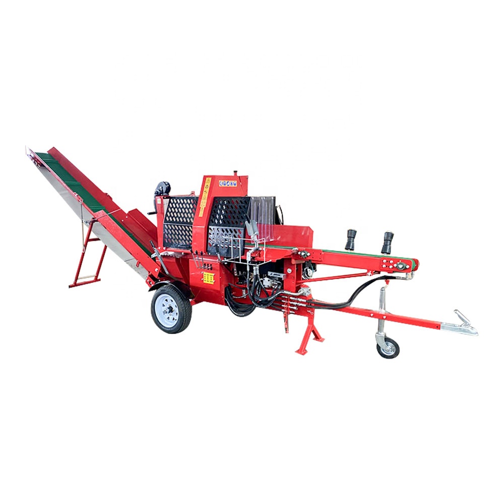 Gardening Tools Store - Spaccalegna Idraulico da 20 Tonnellate, Macchina