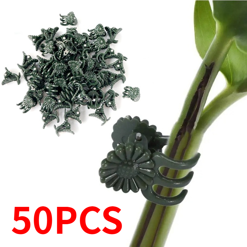 50 Pezzi Clip per Piante a 5 A - Gardening Tools Bundle recensione e prezzo