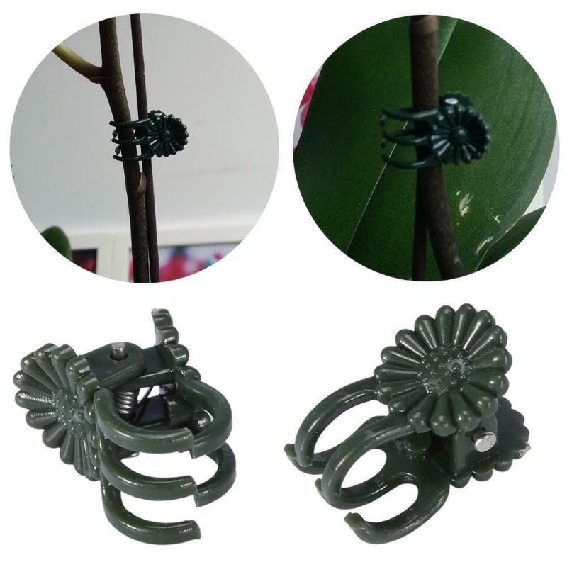 50 Pezzi Clip per Piante a 5 A - Gardening Tools Bundle recensione e prezzo