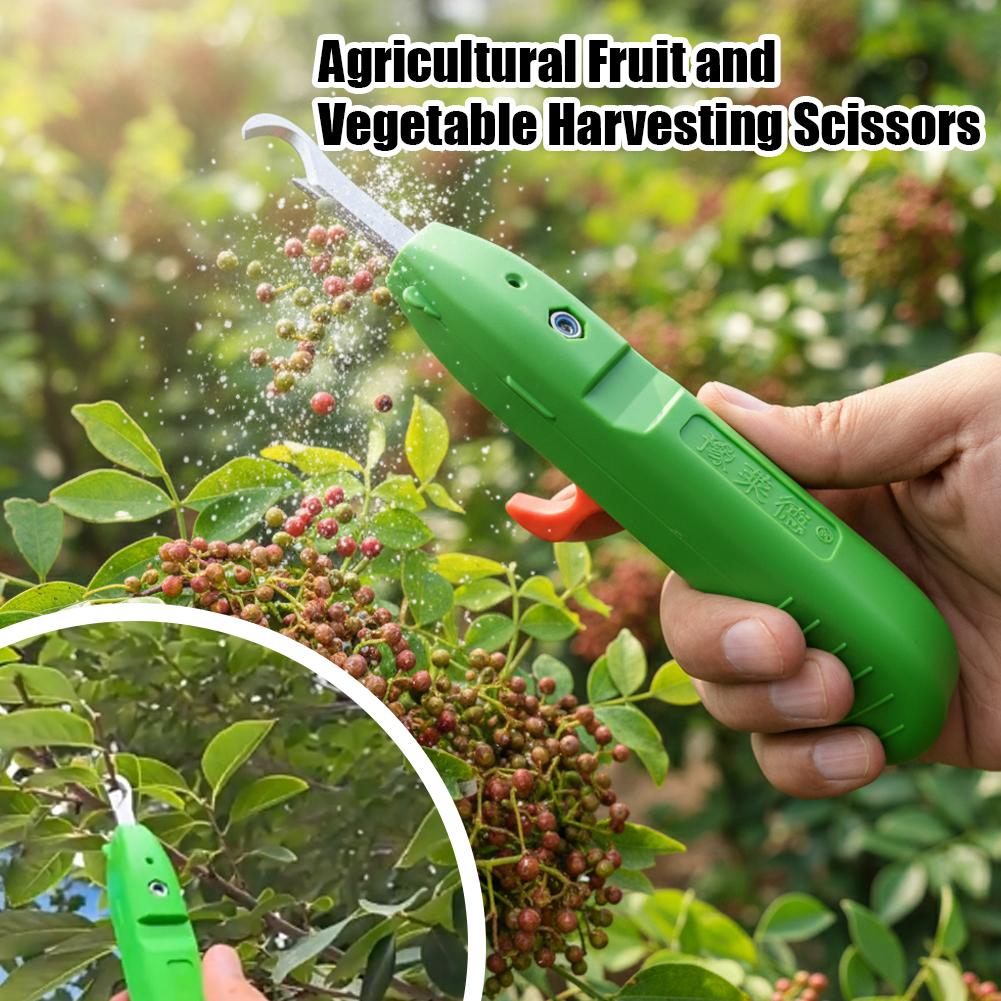 Forbici per la Raccolta di Fru - Gardening Tools Combo recensione e prezzo