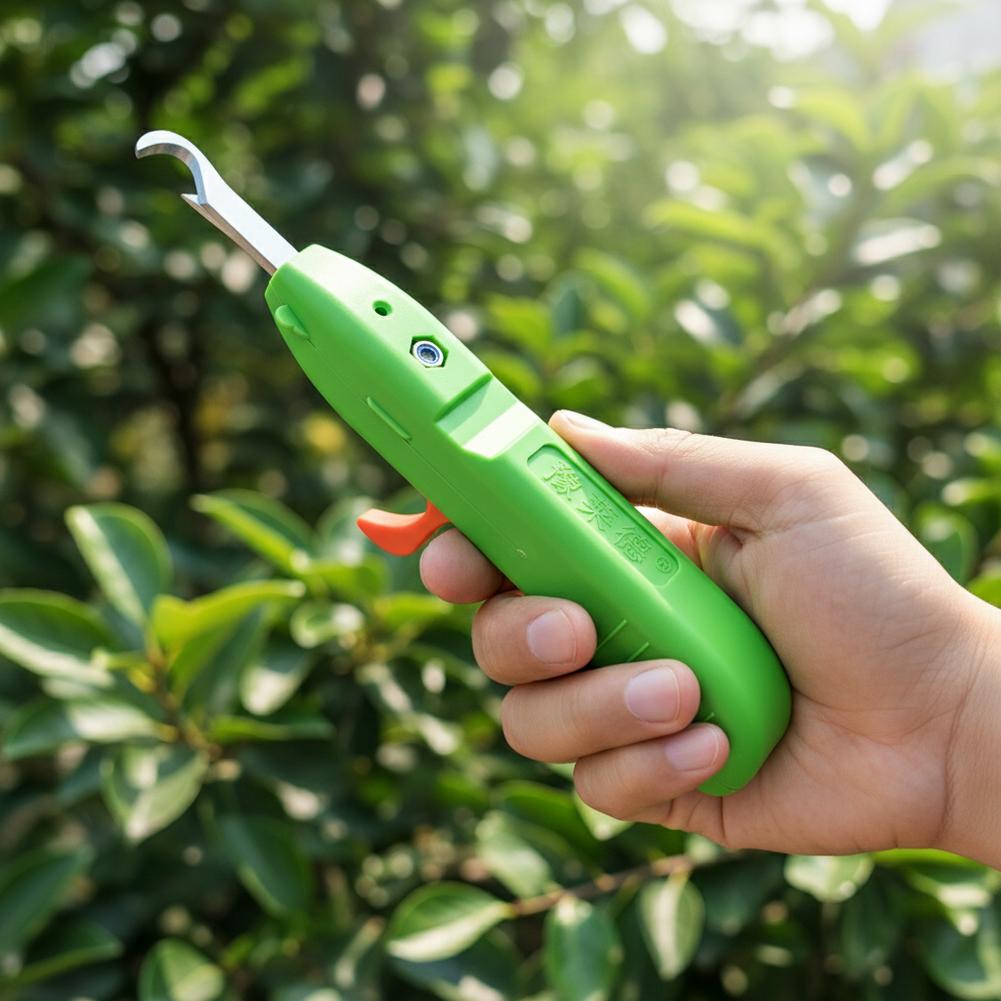 Forbici per la Raccolta di Fru - Gardening Tools Combo recensione e prezzo