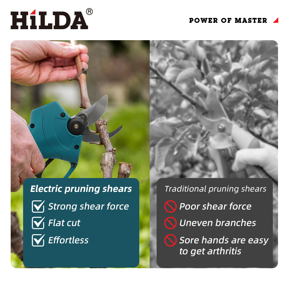 Forbici Elettriche Senza Fili  - Gardening Tools Combo recensione e prezzo