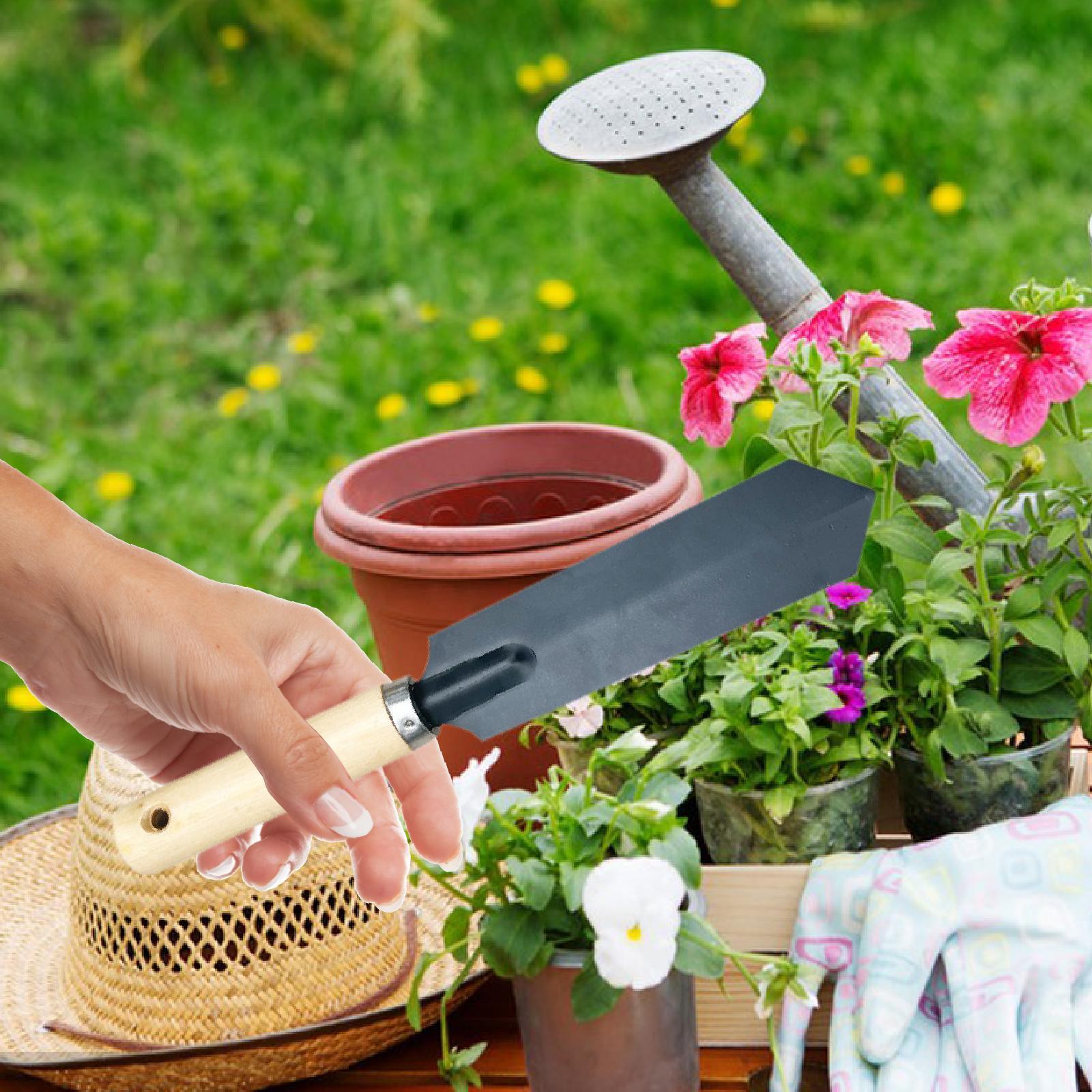 Piccola pala da giardino per s - Garden Hand Trowel recensione e prezzo