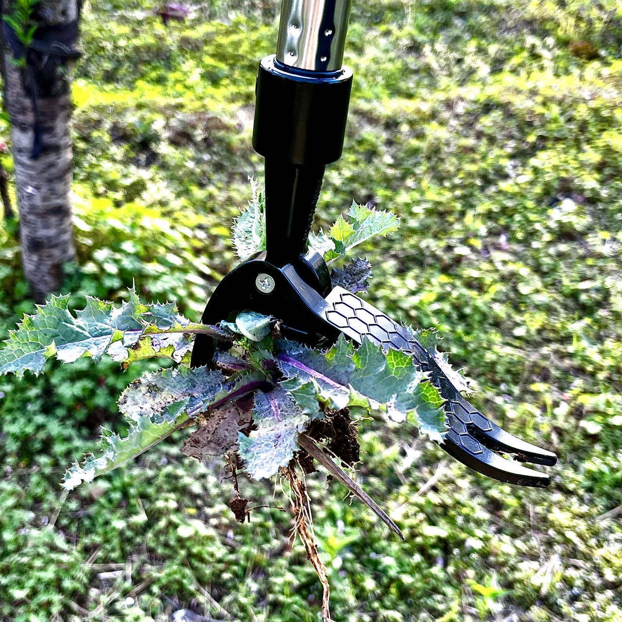 Salva il lavoro Estrattore di  - Gardening Tools Needed recensione e prezzo