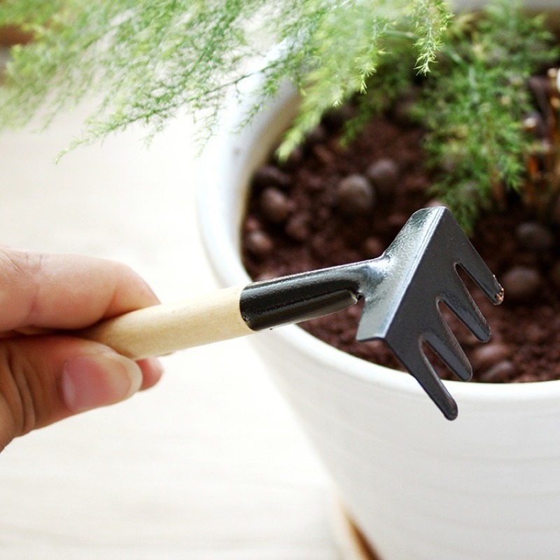 3 pezzi Mini attrezzo da giard - Gardening Tools Bundle recensione e prezzo