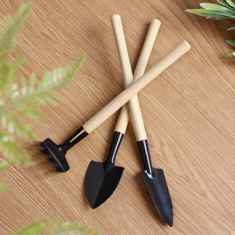 3 pezzi Mini attrezzo da giard - Gardening Tools Bundle recensione e prezzo