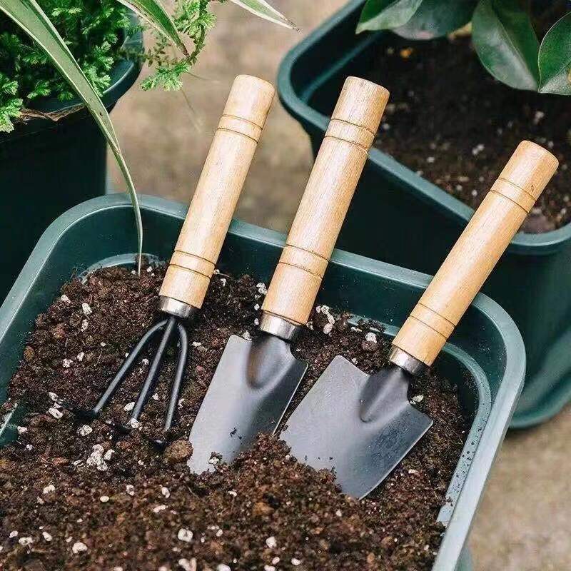 3PC/1Set Mini Attrezzi da giar - Gardening Tools Combo recensione e prezzo