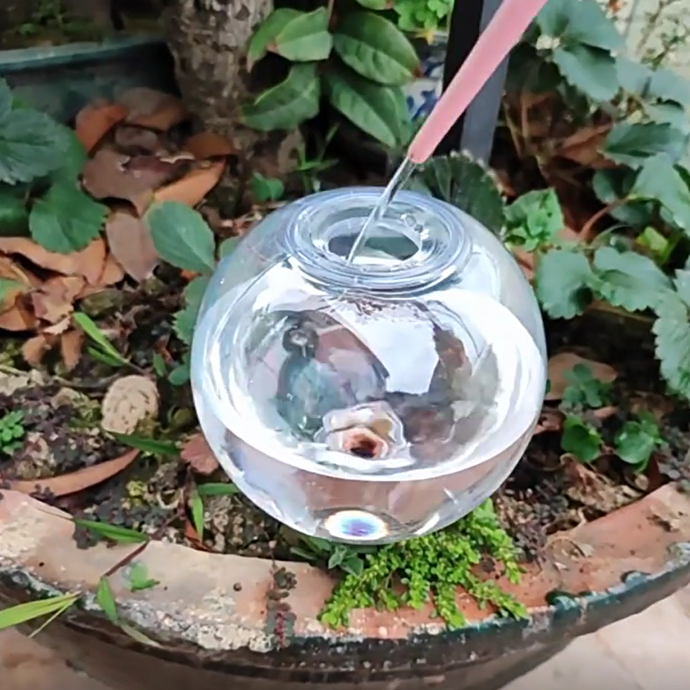 Sistema di irrigazione a gocci - Self-Watering Planter recensione e prezzo