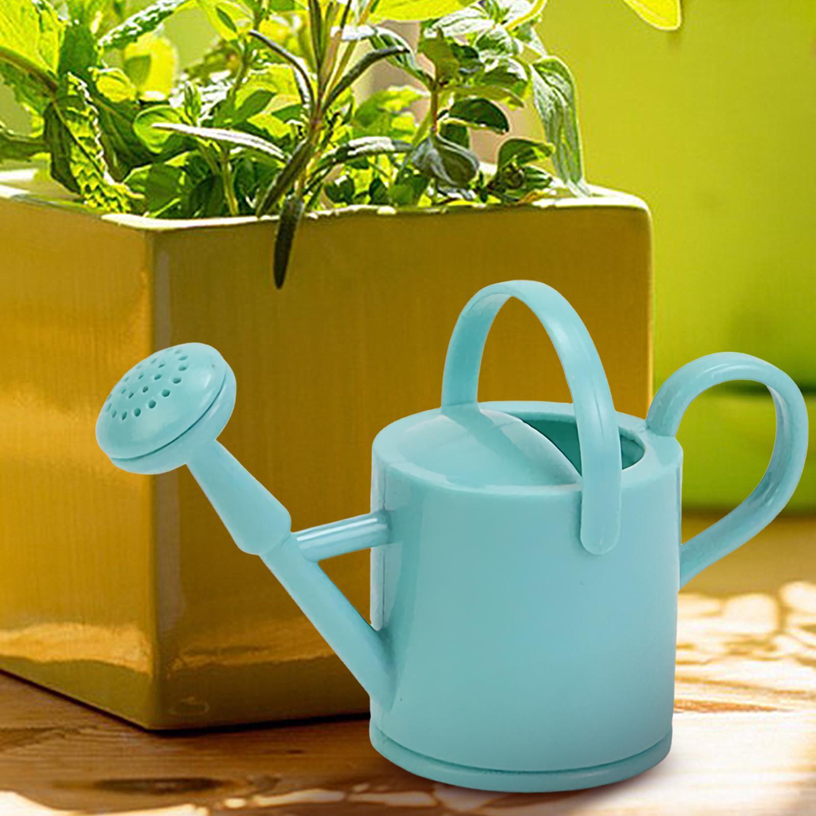 Mini annaffiatoio per bambini, - Gardening Tools Toddler recensione e prezzo